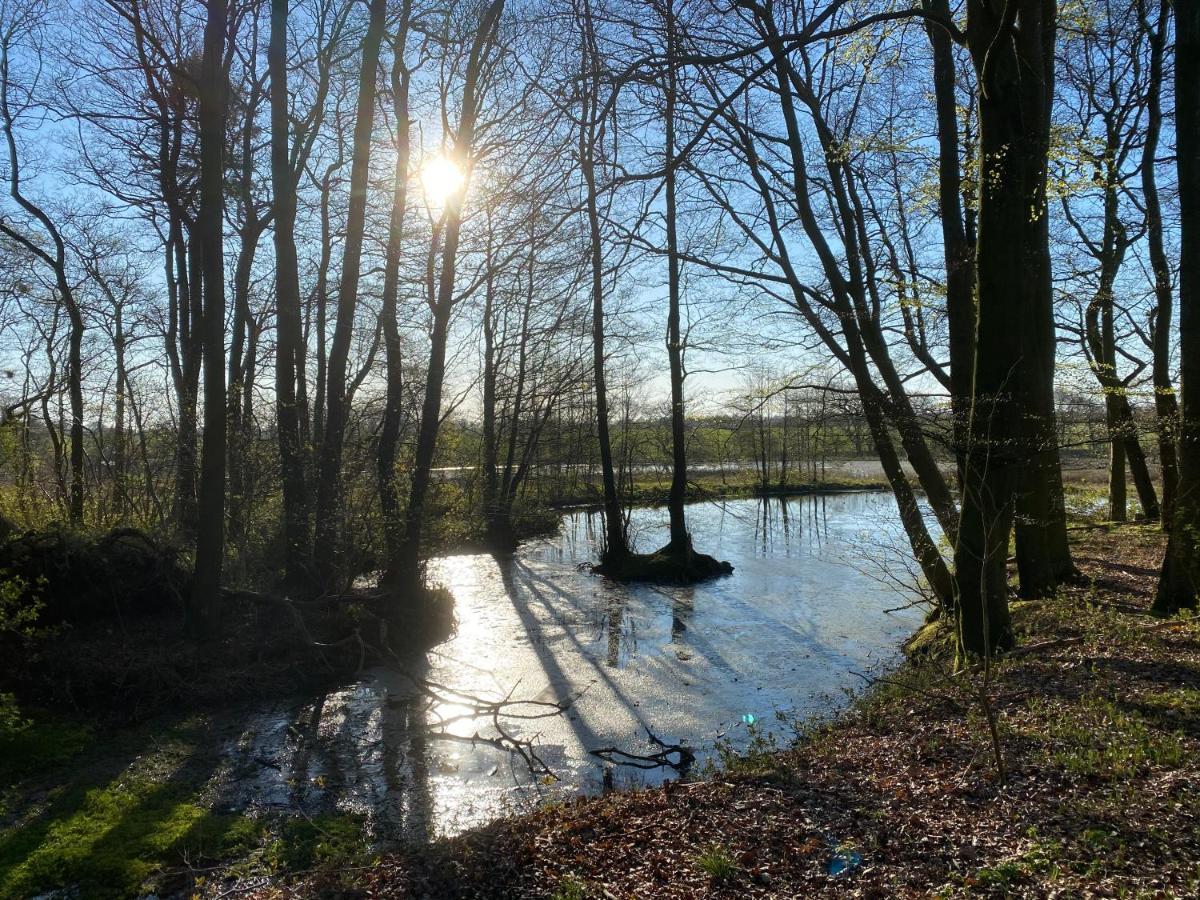Nyopfort Luksusvaerelse I Naturskonne Og Rolige Omgivelser Branderup Exterior foto